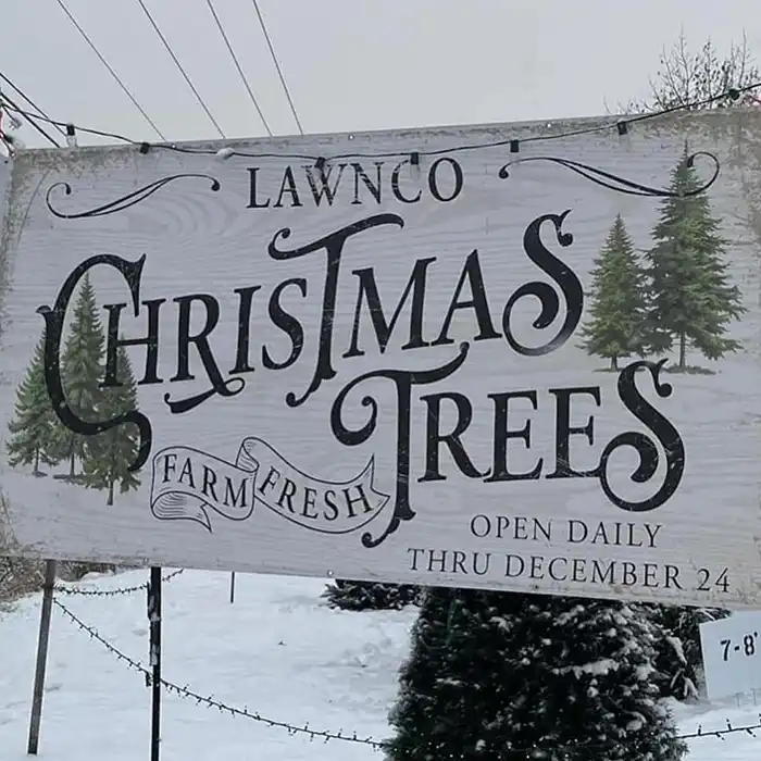 Vinyl Signs
